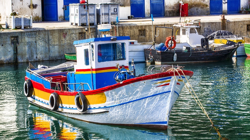 Vandring i Arrábida med Sesimbra og Azeitão